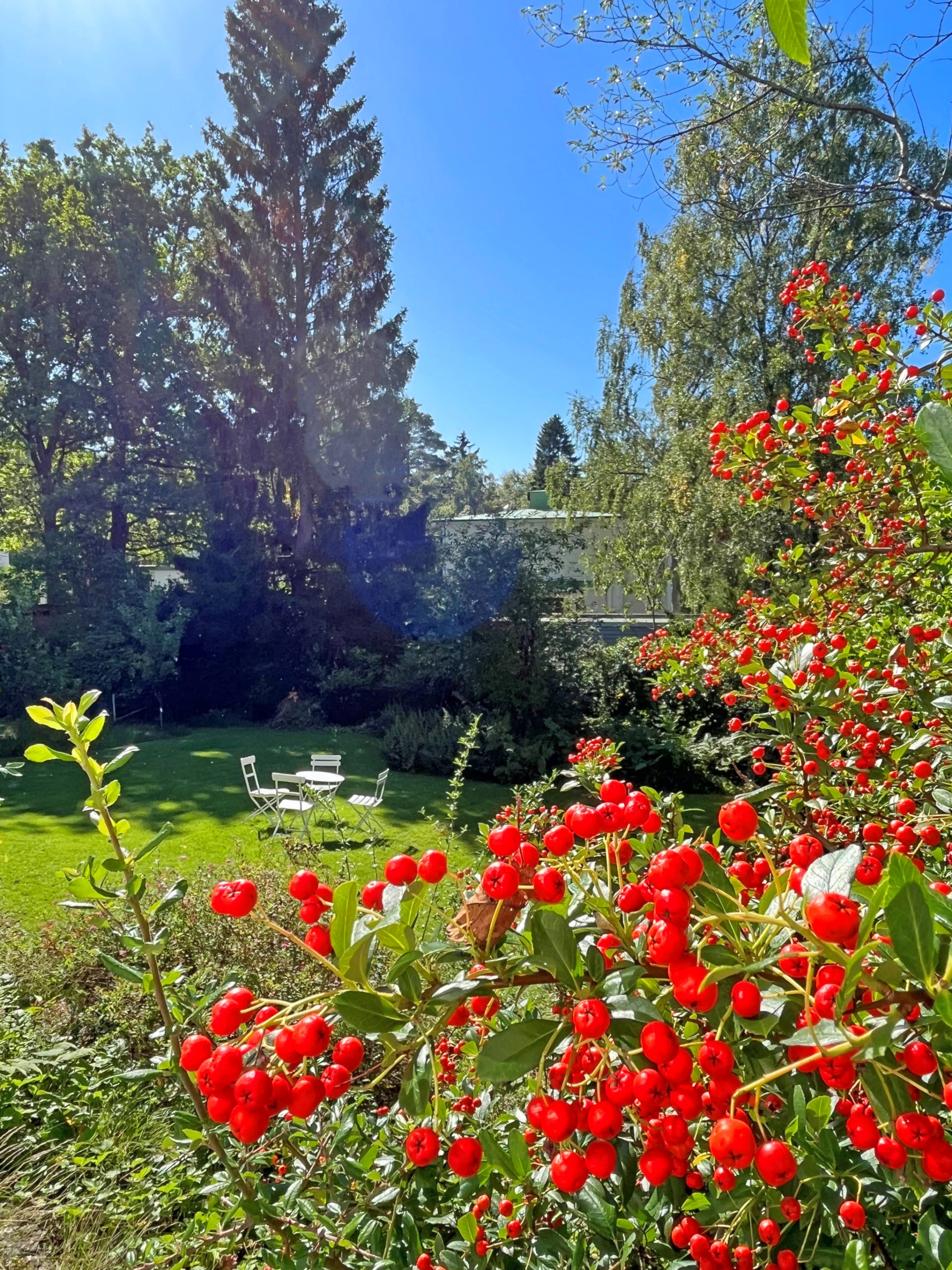 Ehrenstrahlsvägen 45