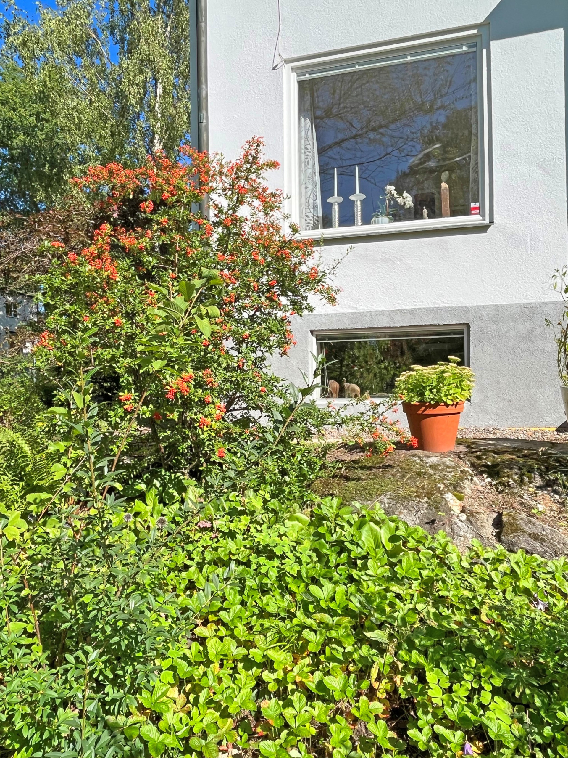 Ehrenstrahlsvägen 45