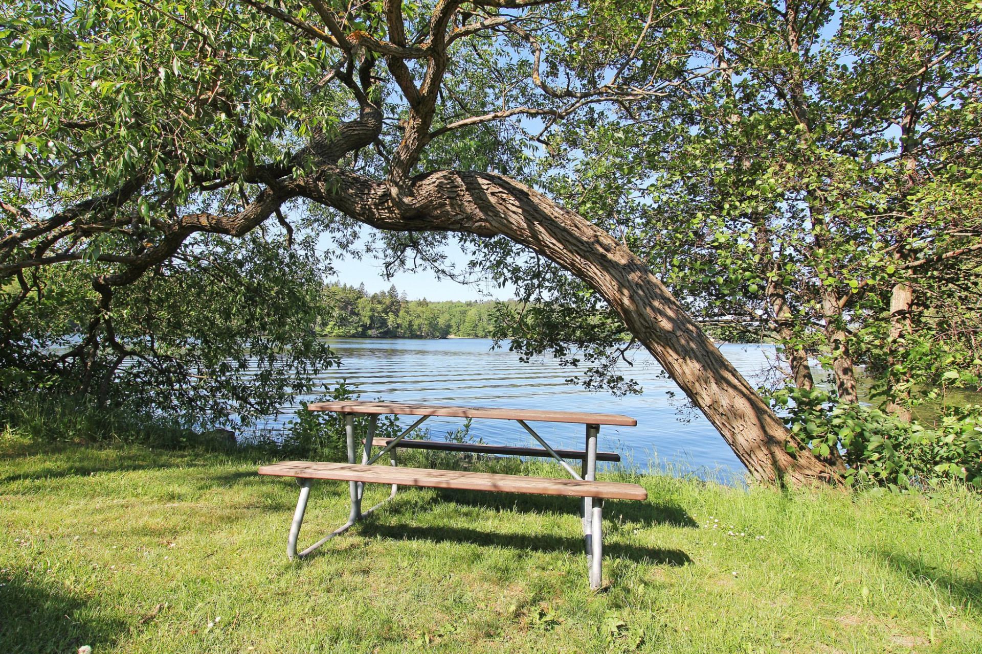 Längs Mälaren i Nockeby Nåsvägen 10