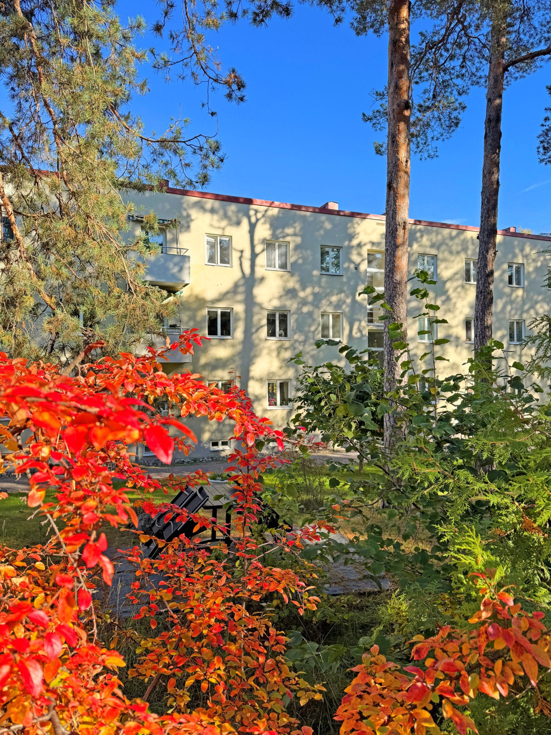 Runda vägen 19